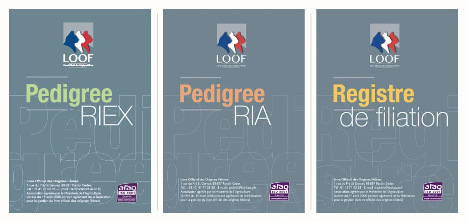 The three LOOF documents side by side: RIEX pedigree, RIA pedigree and filiation register