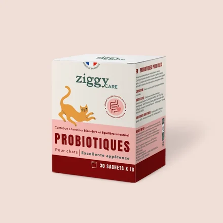 Ziggy Care Probiotiques pour chats, boîte de 30 sachets d’un gramme